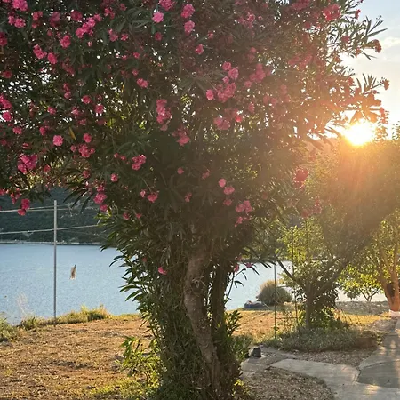 Apartman Laura Ploče