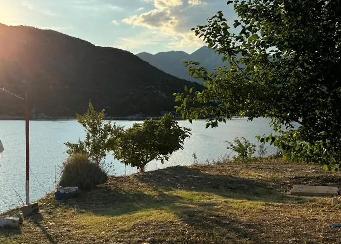 Laura * Ploče