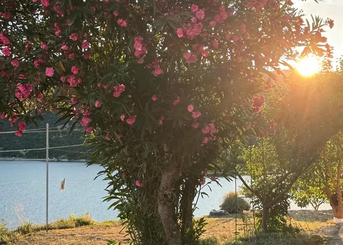 Apartman Laura Ploče